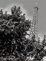 Eiffeltoren achter gebladerte