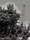 Eiffeltoren achter gebladerte van Sergio Pazzano thumbnail