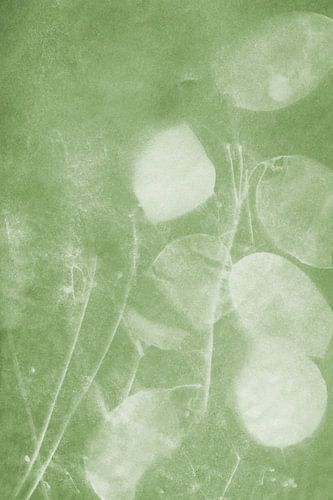 Silberblatt Grüntönung von Karen Kaspar