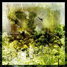 ALONG THE WATER'S EDGE by Ted van den Aarssen