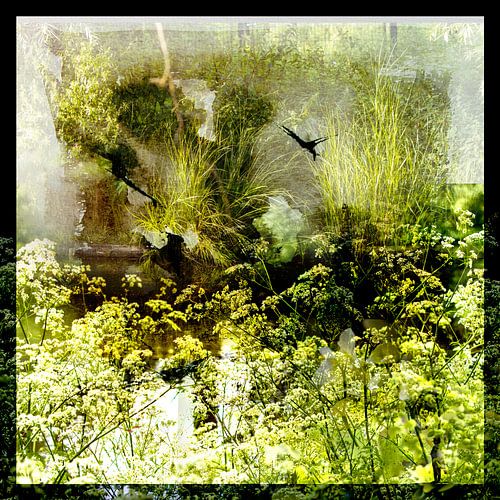 LANGS DE WATERRANDEN