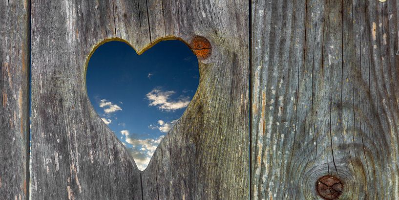 View into the sky by Jürgen Wiesler