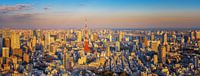 Tokyo Panorama von Sander Peters Miniaturansicht