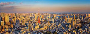 Tokyo Panorama von Sander Peters