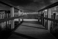 Path to the sea