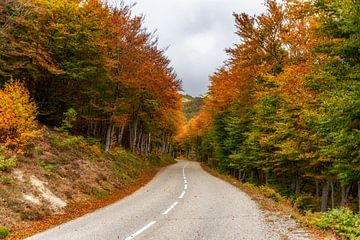 Autumn Road van Annemieke Linders