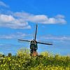 Bonkmill dans un paysage typiquement hollandais sur Maud De Vries