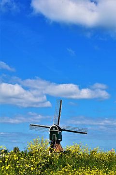 Bonkmolen in typisch Hollands landschap van Maud De Vries