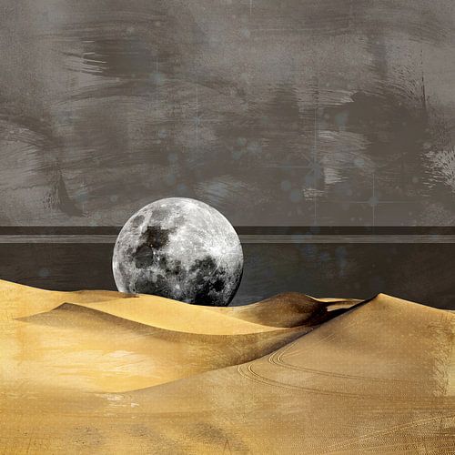 MOON DESERT