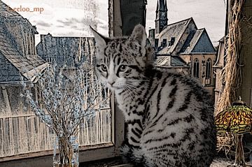 Verloren plaats Vintage Kitten van Leeloo_mp