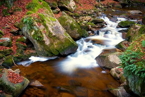 La rivière Ilse dans le parc national du Harz