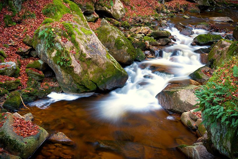 The river Ilse in the Harz National Park by Heiko Kueverling
