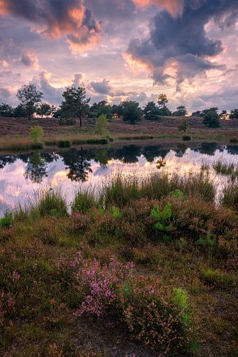Colourful sunset in NP de Maasduinen by Rob Christiaans