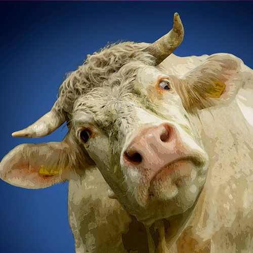 Malle koe in Popart. Blauw.