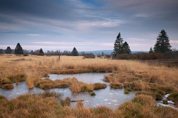 High Fens / Hautes Fagnes by Rob Christiaans