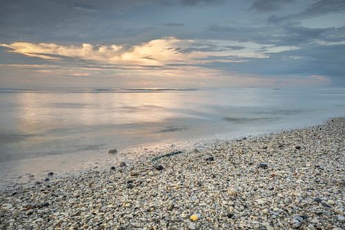 Schillig I von Axel Ellerhorst