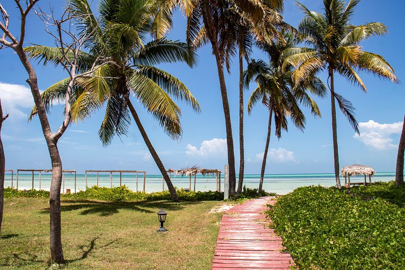 Hallo Strand von Tom Hengst
