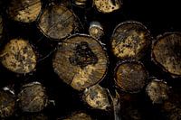 A Wall  of Logs