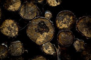 A Wall  of Logs