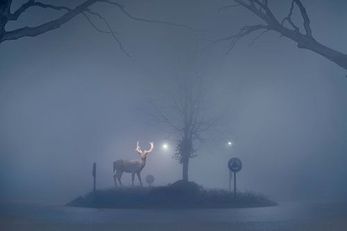 Magisch Hert op Mistige Rotonde: Een Symbolische Beeldmanipulatie geïnspireerd door Finse Traditie