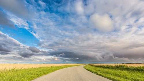 Lauwersmeer country road