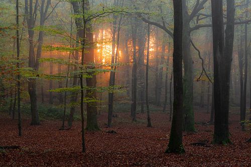 zonsopkomst