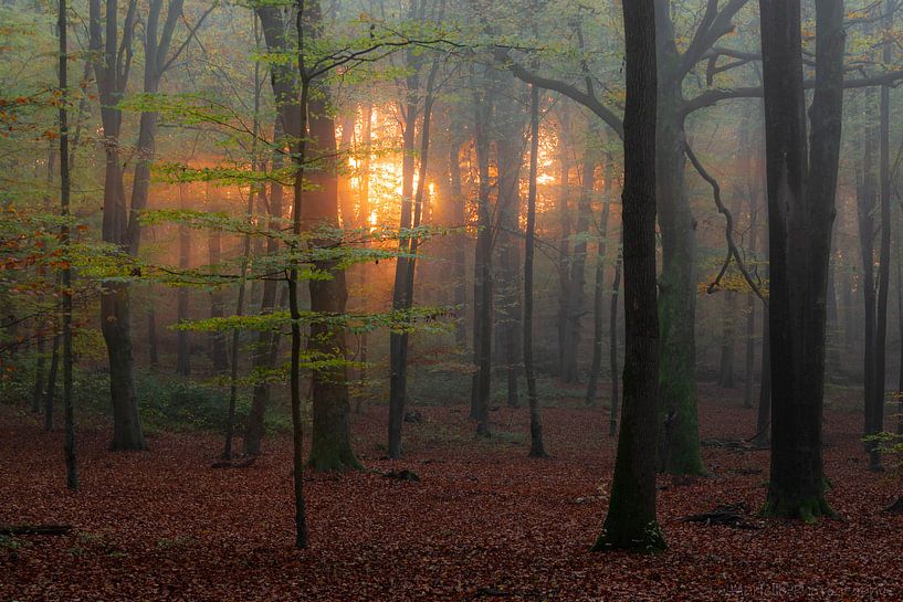 sunrise par Mariëlle Weijsenfeld