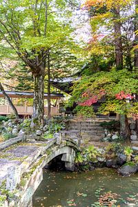 Jardin japonais avec pont sur Mickéle Godderis