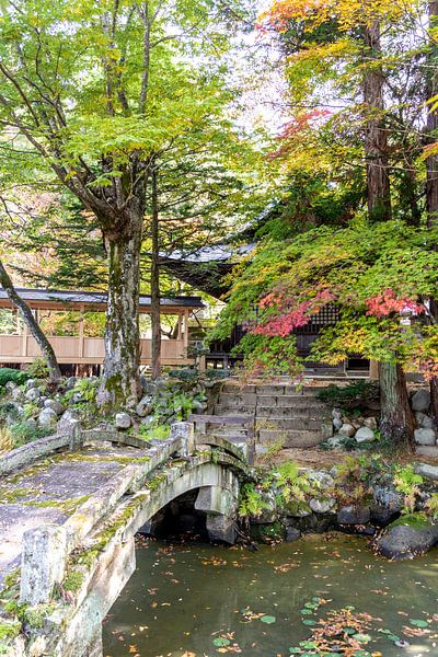 Japanese garden with bridge by Mickéle Godderis
