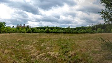 Dreigende luchten in veengebied Drents-Friese Wold van Jan-Willem van Rijs