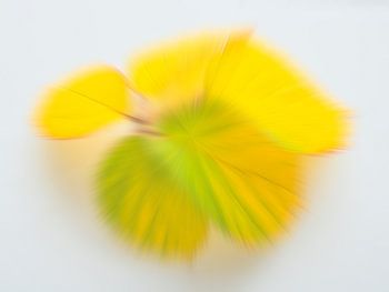 Speelse herfstkleuren 1