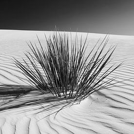 Duinen, White Sands National Monument | Panorama Monochroom van Melanie Viola