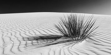 Dunes, White Sands National Monument | Panorama Monochrome sur Melanie Viola