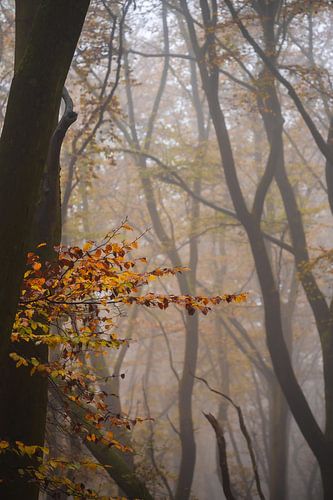 Duno landgoed part 33