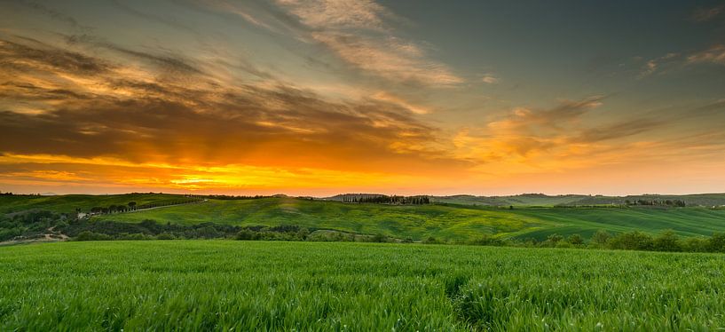 Zonsondergang in Toscane van Damien Franscoise