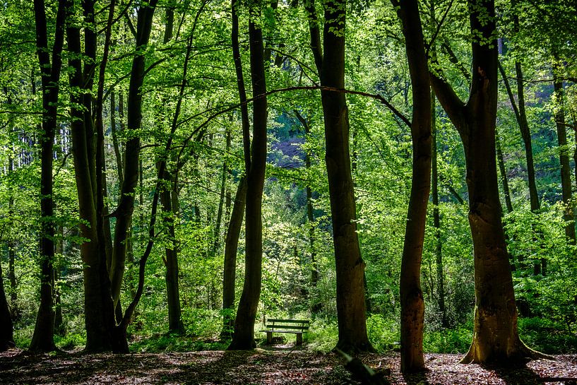 Resting place by Emel Malms