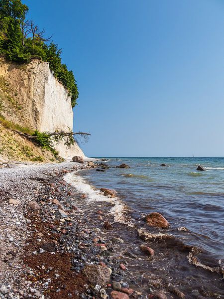 Kreidefelsen an der Küste der Ostsee auf der Insel Rügen von Rico Ködder