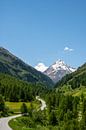 Venter tal landschap in de Ötztal regio van Tiol van Sjoerd van der Wal Fotografie thumbnail