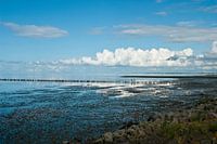Friedrichskoog