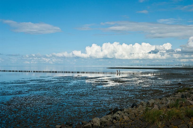 Friedrichskoog van Norbert Sülzner