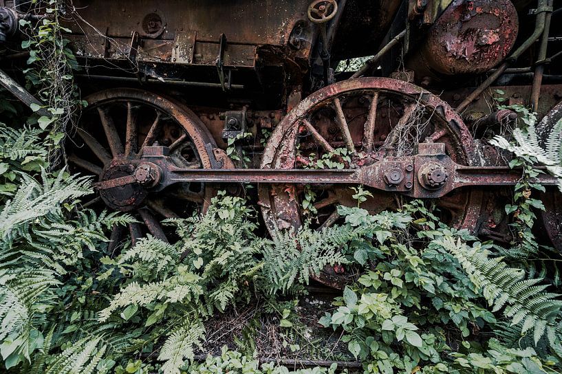 Rusty giants of the railway by Karsten Rahn