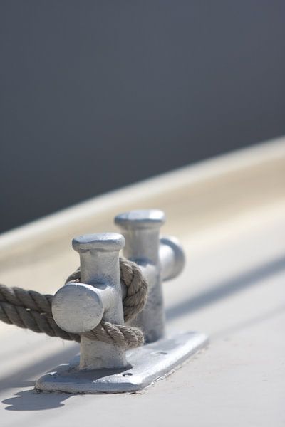 Grip van Ger Mestrum