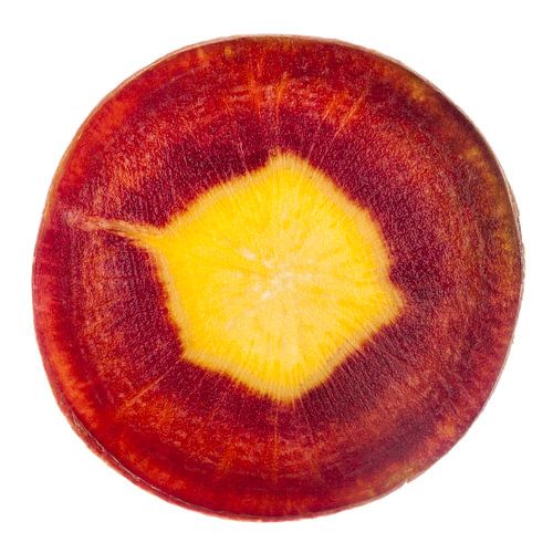 Wortel rood geel doorsnede