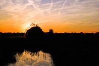 Nature's Mirage"