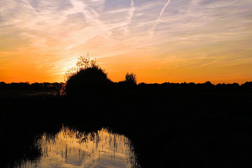 Le mirage de la nature&amp;quot ; par patrick van den Broek