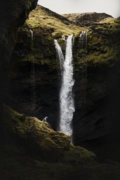 Solitude van Nanuq Dog Photography