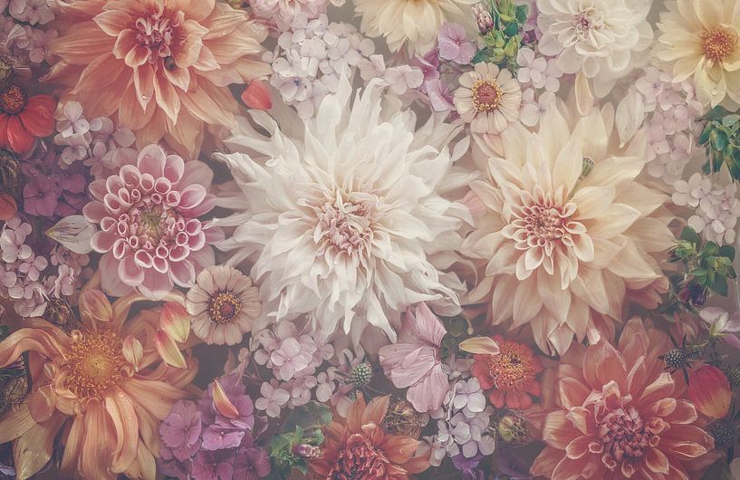 BloominDahlias von Marina de Wit