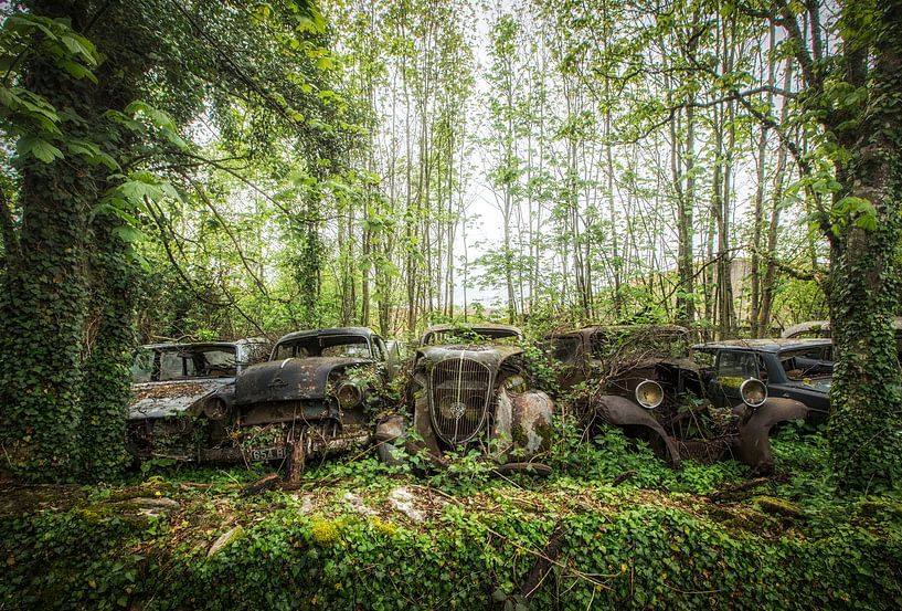 Oldtimer im Wald von Kelly van den Brande