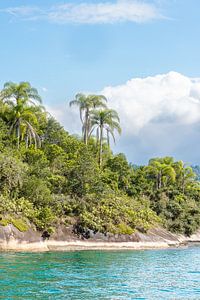 Tropisch eiland Paraty Brazilië