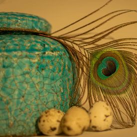 aqua blue vase with peacock feather warm background by Aan Kant